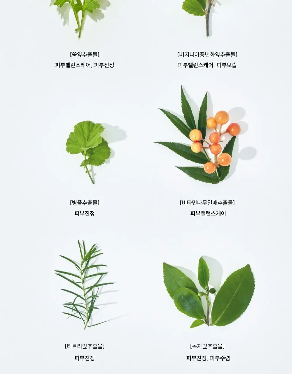 [단독기획] 메디온 밸런스젤 기획세트(5ml*10ea 추가증정) 상세페이지 24